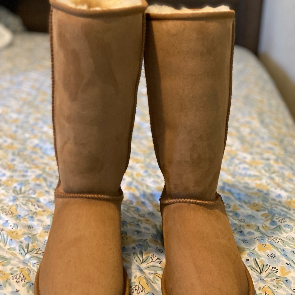 UGG Tan Winter Boots Plush Lining
